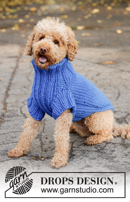 Blue Shadow / DROPS Extra 0-81 - Sweterek / płaszczyk dla psa na drutach, z włóczki DROPS Snow. Przerabiany dżersejem i ściągaczem od ogona do szyi. Od XS do L.