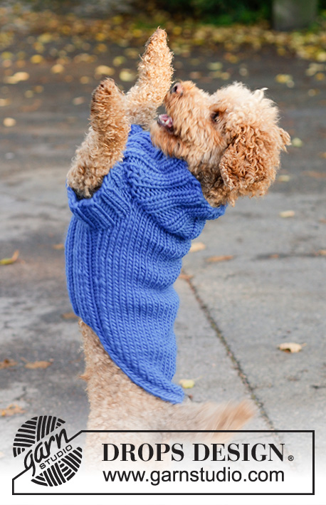Blue Shadow / DROPS Extra 0-81 - Knitted dog sweater in DROPS Snow. The piece is worked from the tail to the neck with stockinette stitch and rib. Sizes XS - L.
