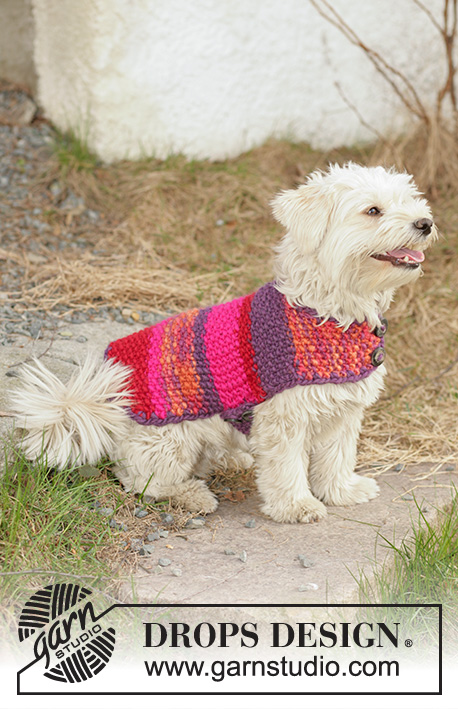 Suzi / DROPS 102-40 - DROPS dog coat knitted in Moss stitches with ”Snow”