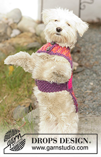 Free patterns - Swetry dla psów / DROPS 102-40