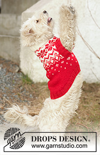 Free patterns - Swetry dla psów / DROPS 102-42