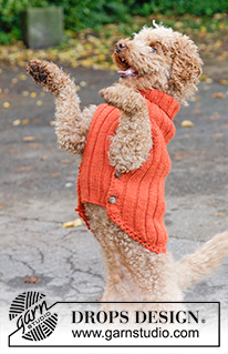 Free patterns - Swetry dla psów / DROPS 102-45