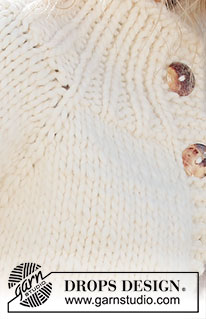 Snow Bird / DROPS 227-26 - Rozpinany sweter na drutach przerabiany od góry do dołu z reglanowymi rękawami, z włóczki DROPS Polaris. Od S do XXXL.