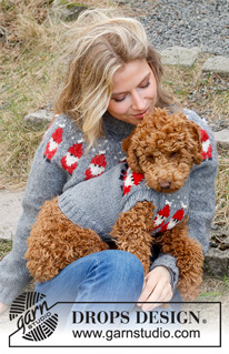Free patterns - Swetry dla psów / DROPS 228-54