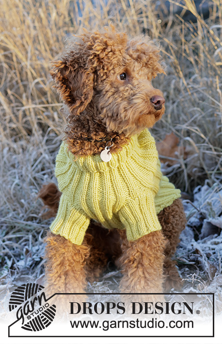 Mr. Sunshine / DROPS 228-55 - Pull tricoté pour chien avec côtes, en DROPS Alaska. Du XS au M.