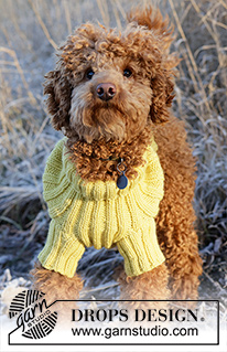 Mr. Sunshine / DROPS 228-55 - Sweterek dla psa na drutach, ze ściągaczami. Od XS do M. Z włóczki DROPS Alaska.
