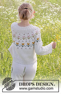 Free patterns - Damskie swetry przez głowę / DROPS 232-2