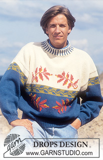 Free patterns - Bluser & Sweaters til herrer / DROPS 24-17