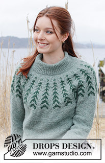 Free patterns - Damskie swetry przez głowę / DROPS 244-1