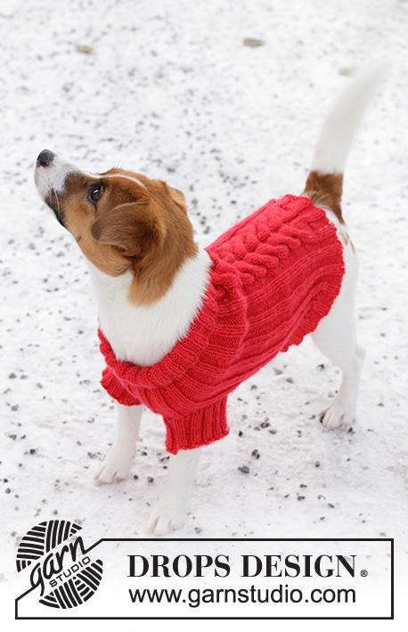 Holiday Buddies / DROPS 245-31 - Strikket hundegenser / genser til hund i DROPS Karisma. Arbeidet strikkes fra halsen til halen med vrangbord og fletter. Størrelse XS - M. Tema: Jul.