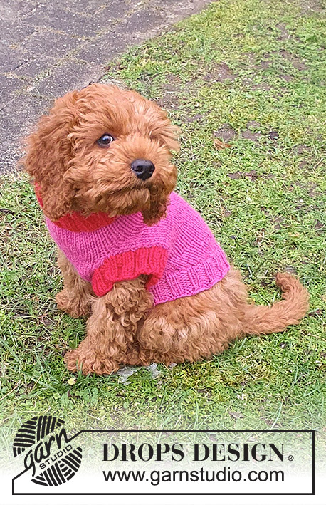 Good Girl Sweater / DROPS 245-32 - Strikket bluse til hund / hundebluse i DROPS Nepal. Arbejdet strikkes fra halsen og frem til halen. Størrelse XS - M.