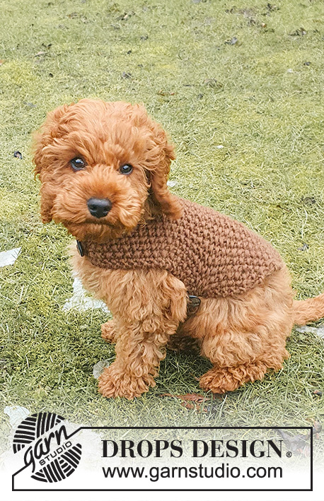 Best Day Ever Coat / DROPS 245-33 - Couverture / Manteau tricoté pour chien en DROPS Snow. Se tricote au point de riz, à partir du bas du dos vers le col, avec sangle sous le ventre. Du XS au M.