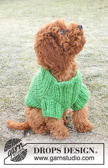 Good Boy Sweater / DROPS 245-34 - Pull tricoté pour chien en DROPS Snow. Se tricote de haut en bas, à partir du col. Du XS au L.