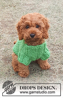 Free patterns - Swetry dla psów / DROPS 245-34