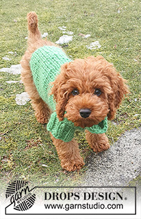 Good Boy Sweater / DROPS 245-34 - Maglione per cani lavorato ai ferri in DROPS Snow. Lavorato dal collo alla coda. Taglie: XS-L.
